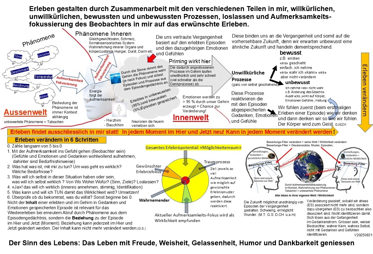 Praktische Umsetzung Image