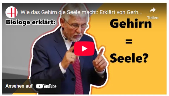 Was ist die Seele und macht das Gehirn die Seele (die Persönlichkeit) ?